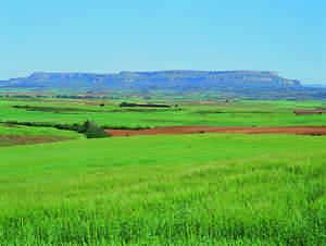 Peña Amaya